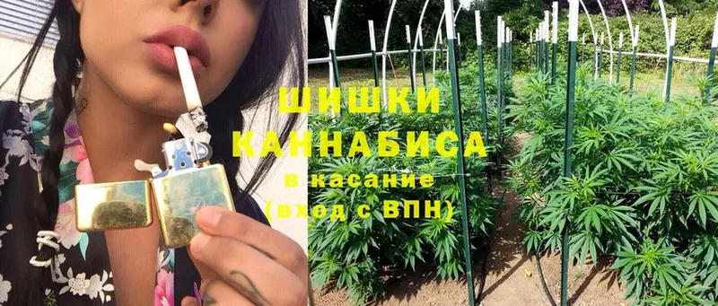 где продают   Кологрив  Шишки марихуана OG Kush 